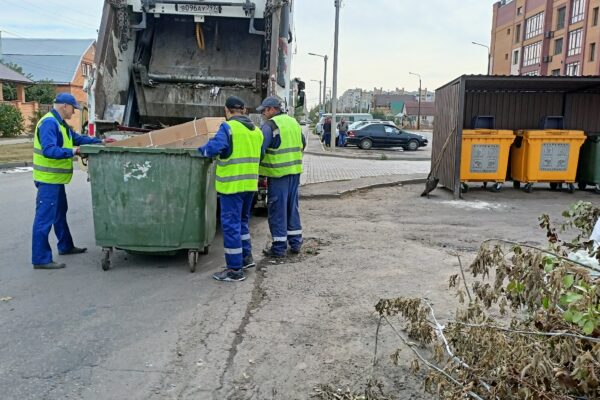 В Тамбове внедряют новый подход к уборке контейнерных площадок