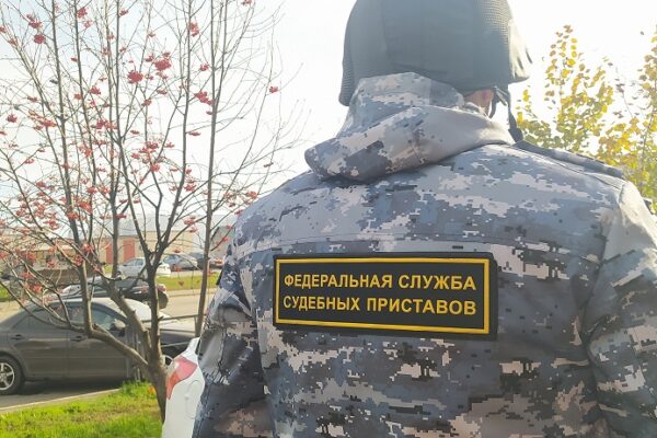 Долг в 14 млн руб пытаются взыскать приставы с директора тамбовской строительной фирмы