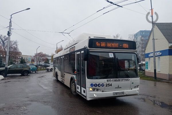 На Радоницу в Тамбове пустят специальные автобусные маршруты до кладбищ