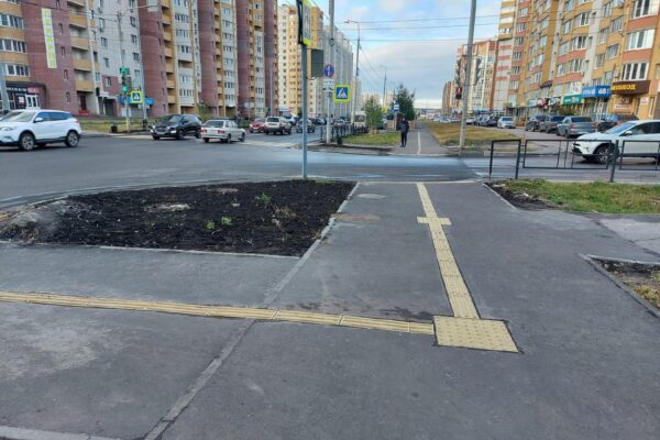 Как в Тамбове создают безбарьерную среду