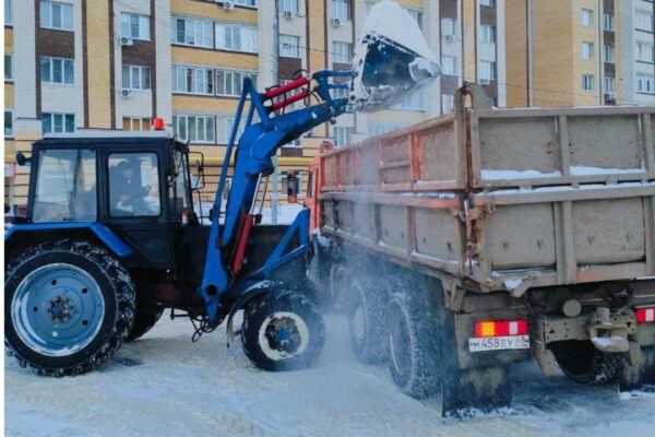 Городские службы Тамбова оказывают помощь УК в расчистке дворов