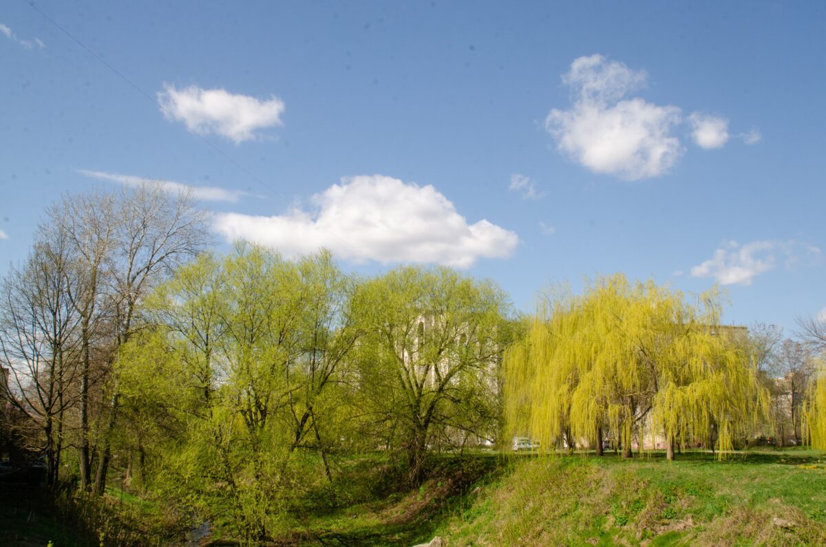Вид на Студенецкую набережную со стороны Рассказовского шоссе