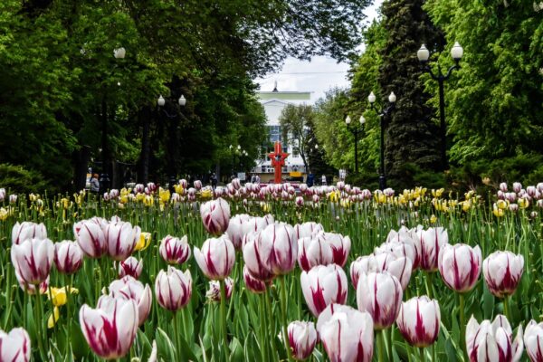 Первые лица Тамбова поздравили горожан с Первомаем