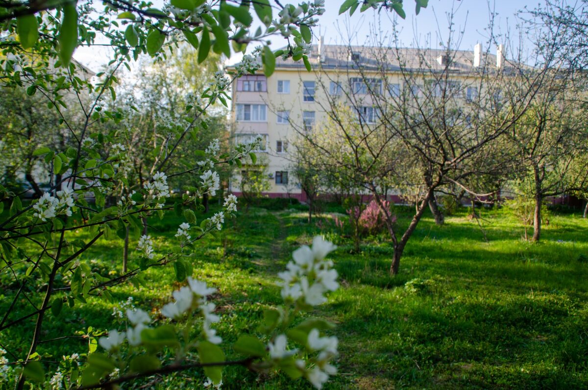 Часть старого церковного сада