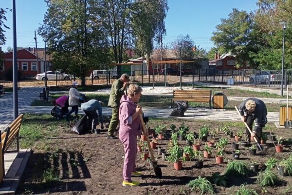 В новом сквере у школы №31 высадили деревья и кустарники