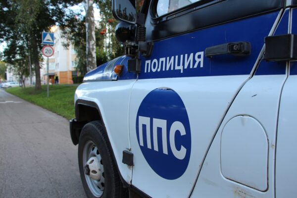 В Тамбове задержали женщину, укравшую сумку из машины