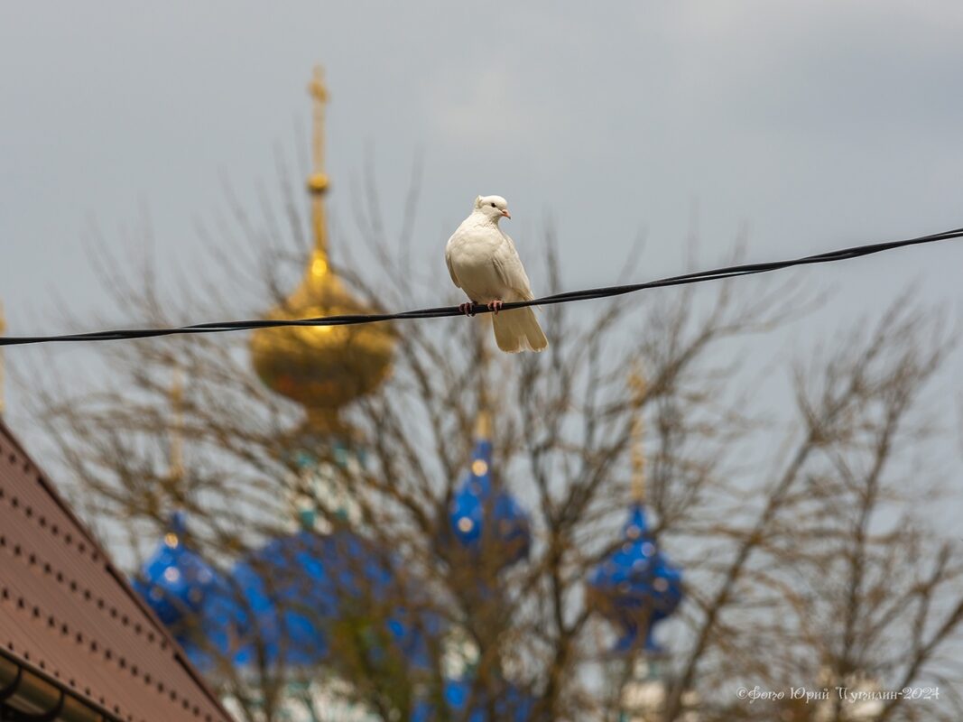 Весенний день. Фото Юрия Путилина