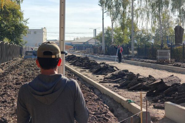 Ахлебиновскую рощу в Тамбове благоустраивают комплексно