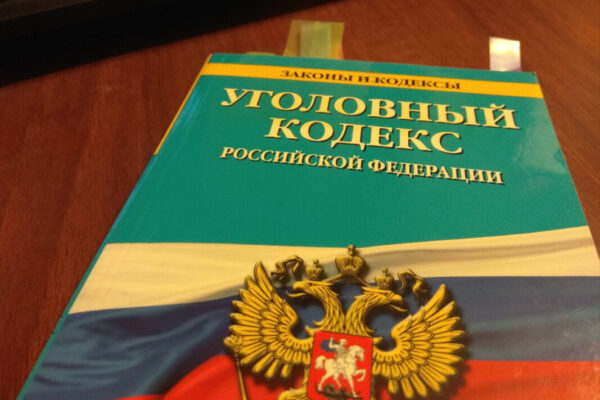В Тамбове собака спасла пожилого хозяина от нападения гостя с ножом