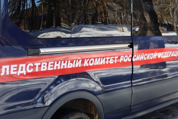 Тамбовский следком: участник запрещенной в РФ организации получил 6,5 лет