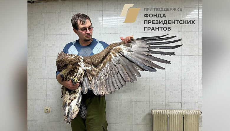 Фото Центра охраны хищных птиц