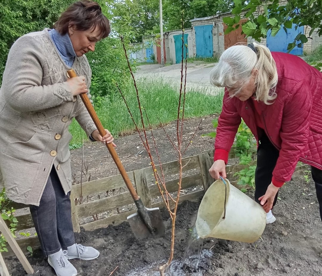 Фото Западного теруправления