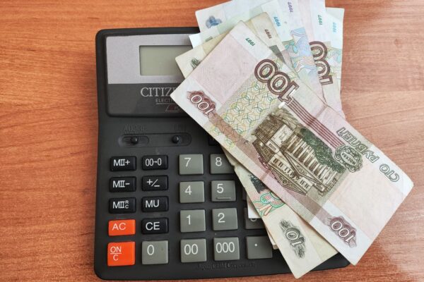 Тамбовчанам рассказали о программе долгосрочных сбережений