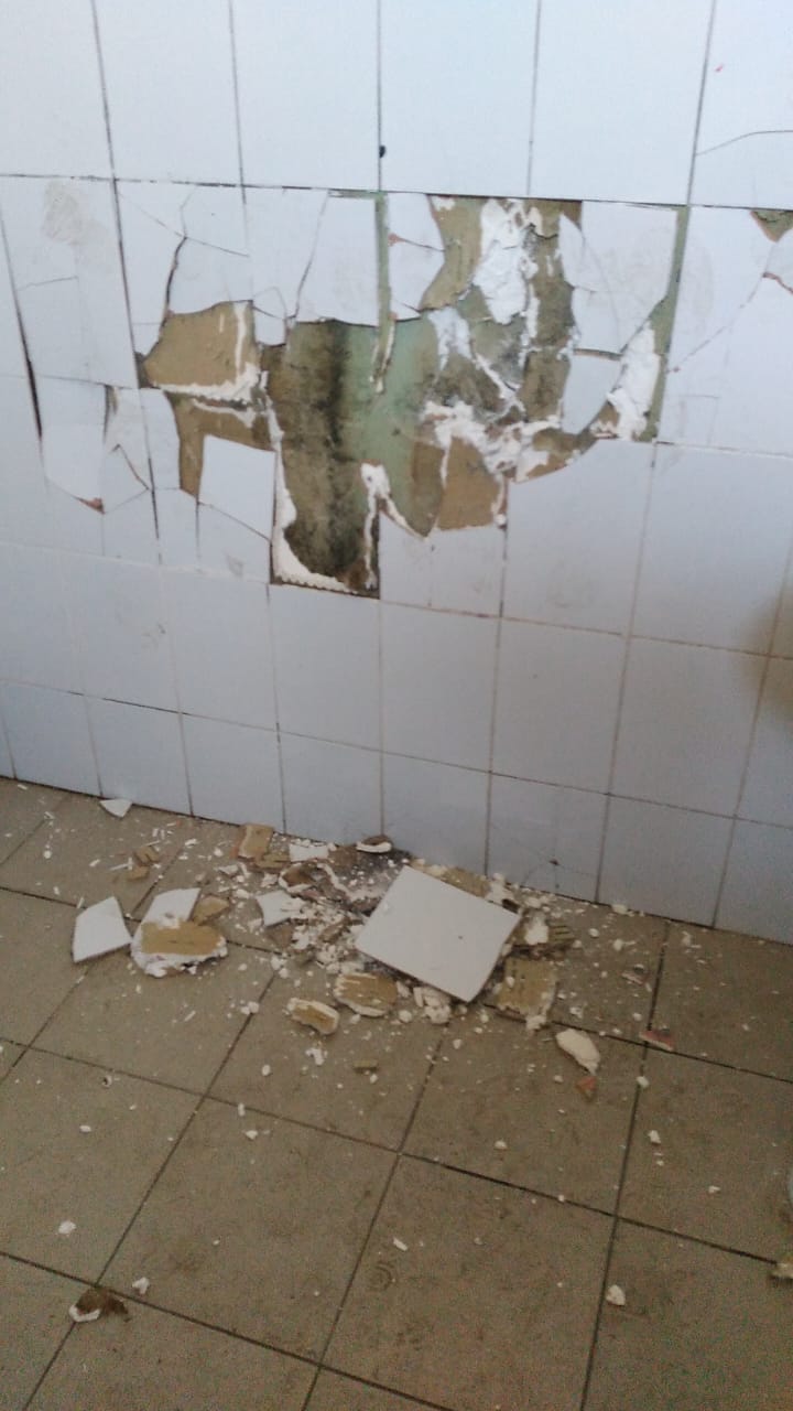 Фото Дирекции благоустройства и озеленения города Тамбова