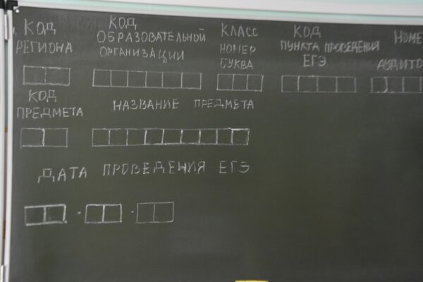 Тамбовские выпускники впервые будут сдавать ЕГЭ под присмотром родителей