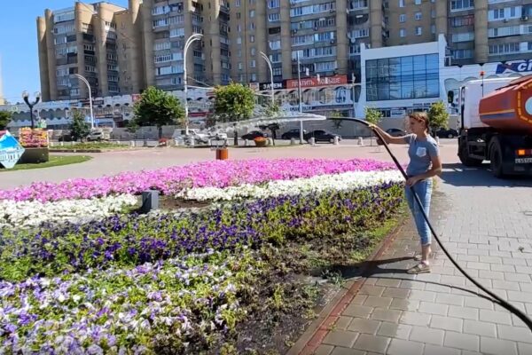 Городские службы Тамбова усилили полив растений в жаркие дни
