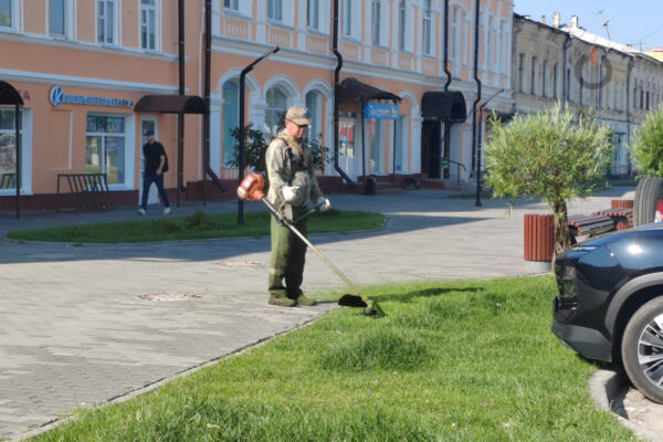 Дирекции городского хозяйства в Тамбове готовы принять на сезонную работу косцов
