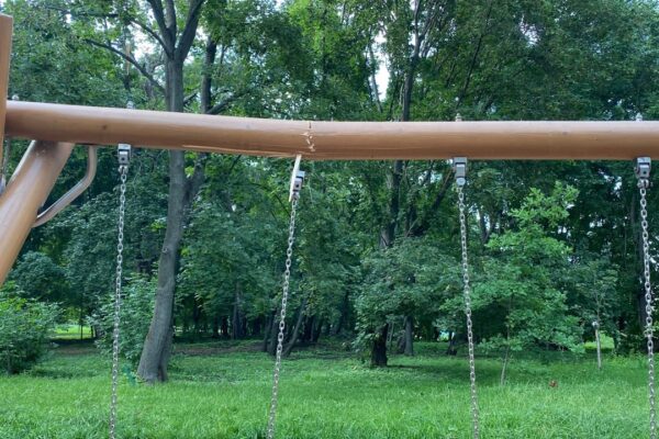 В Ахлебиновской роще тамбовчане обнаружили сломанные качели