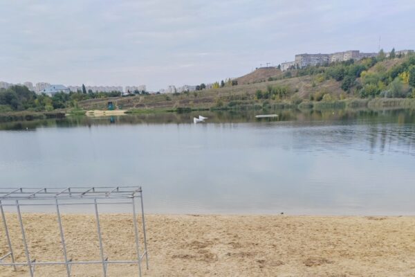 В День Государственного флага в Тамбове пройдет субботник в парке «Ласки»