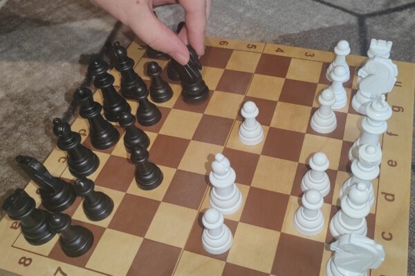Лучшие шахматисты от 14 до 73 лет соревнуются в турнире памяти Владимира Павлютина