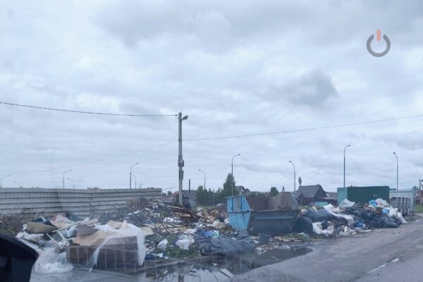 В Тамбове за 18 дней городские службы вывезли 112 КамАЗов растительных отходов