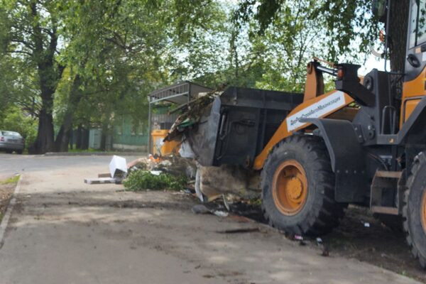 Тамбовчан начнут штрафовать за вывоз растительности на мусорные площадки