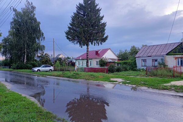 Во второй половине дня в Тамбове возможна гроза
