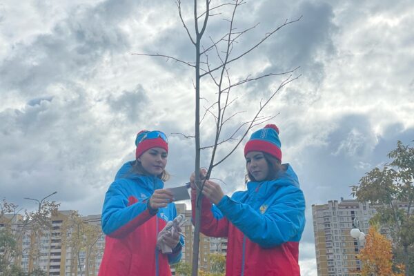 Спортсмены Тамбовской области высадили в Олимпийском парке 52 липы и 40 тополей