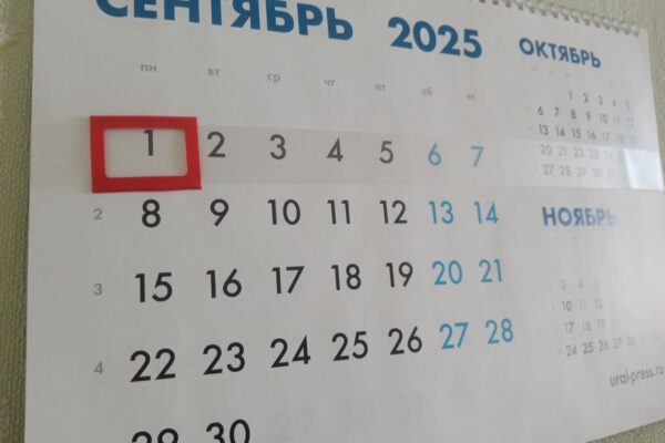 Законы сентября: что должны знать тамбовчане