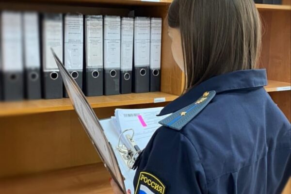 Тамбовчанка задолжала своей дочери более 1 миллиона рублей алиментов