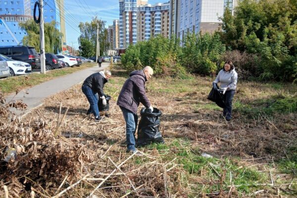 Из-за погодных условий в Тамбове перенесли общегородской субботник