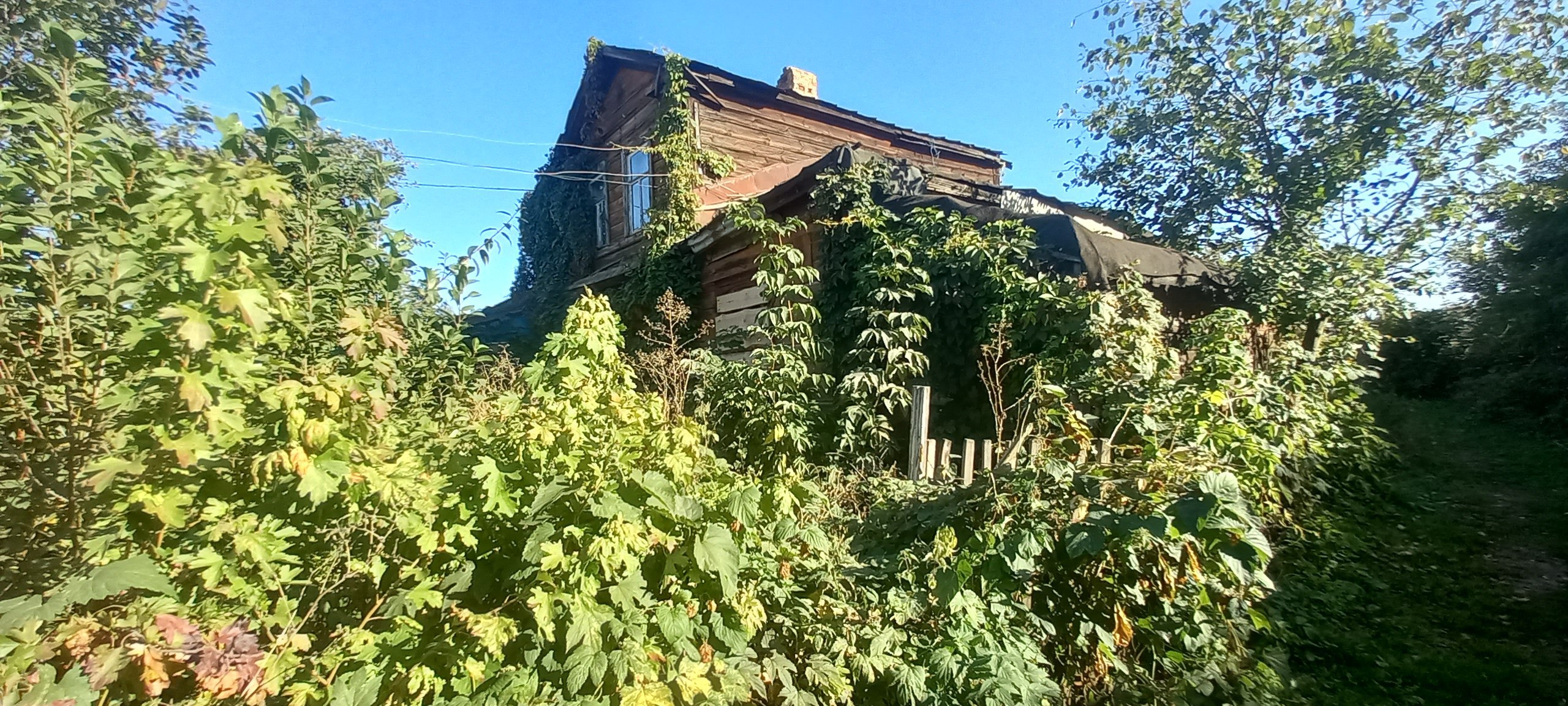 Фото администрации Тамбова