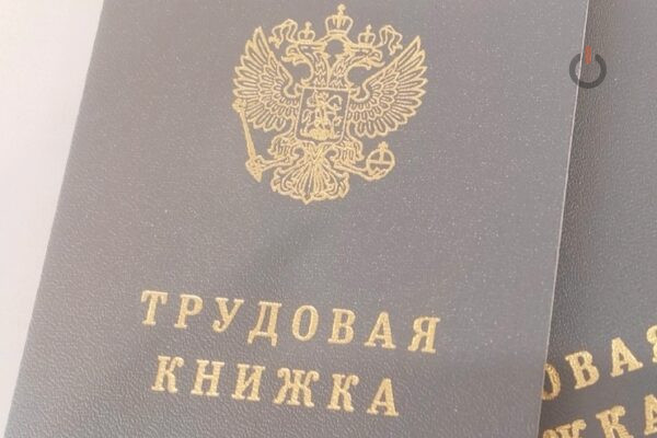 В Тамбовской области более 4000 человек стали работать легально