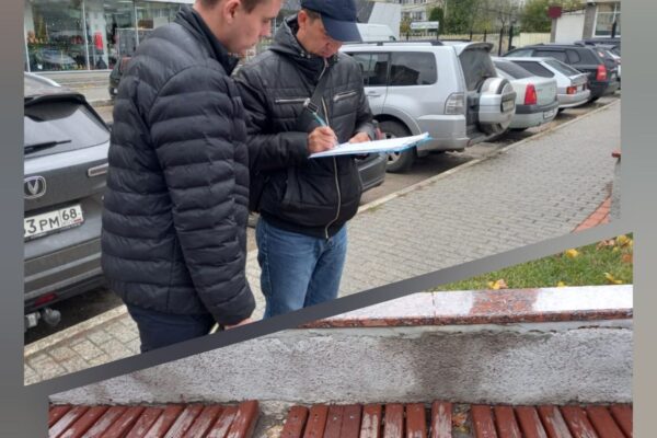 В Тамбове парки и скверы начали готовить к зиме