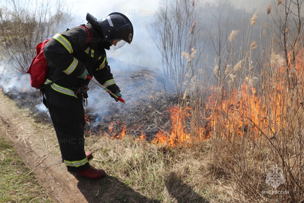 Фото ГУ МЧС России по Тамбовской области