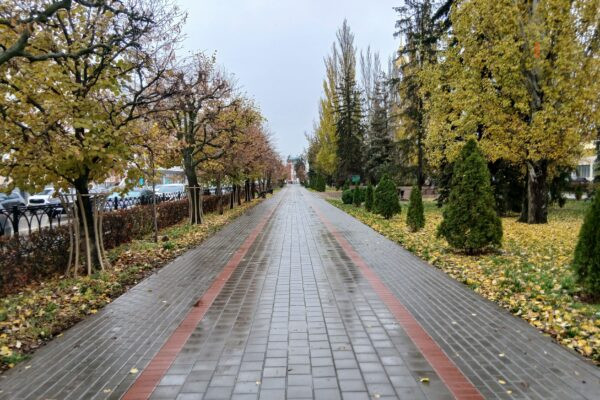 Депутат Думы Тамбова Плотникова рассказала о законодательных изменениях ноября