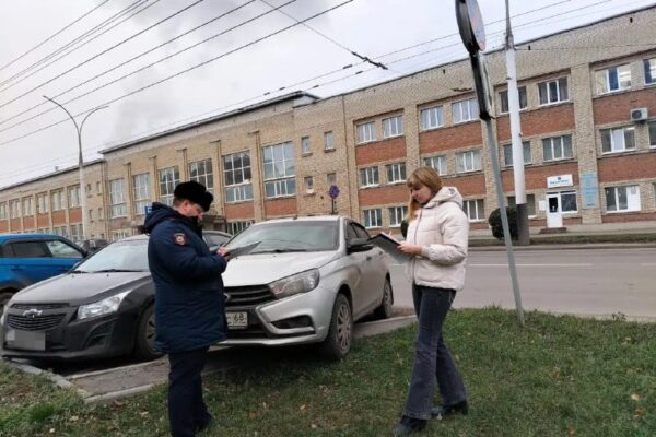 Тамбовчан оштрафовали на 155 тысяч рублей за парковку на зеленых зонах