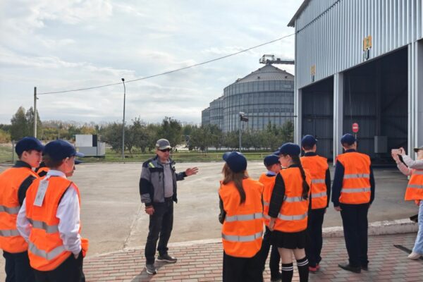 В этом году в профориентации приняли участие более 4000 тамбовских школьников