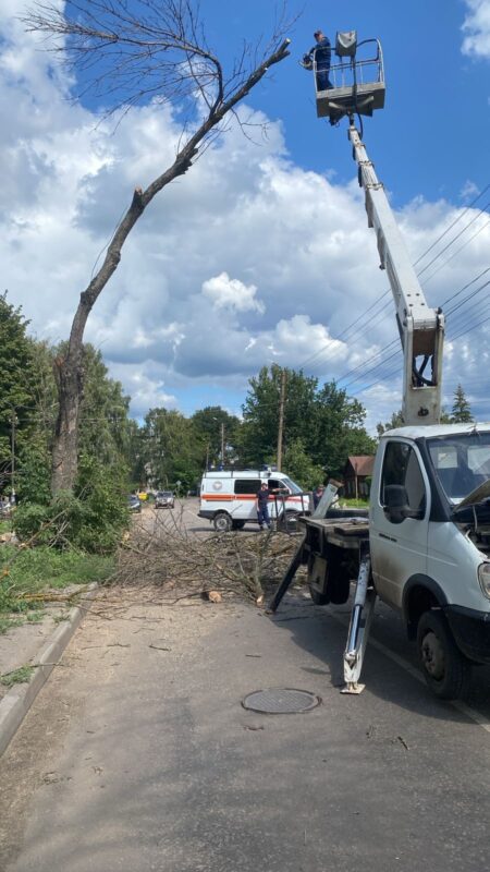 Удаление аварийных деревьев. Фото из архива учреждения 