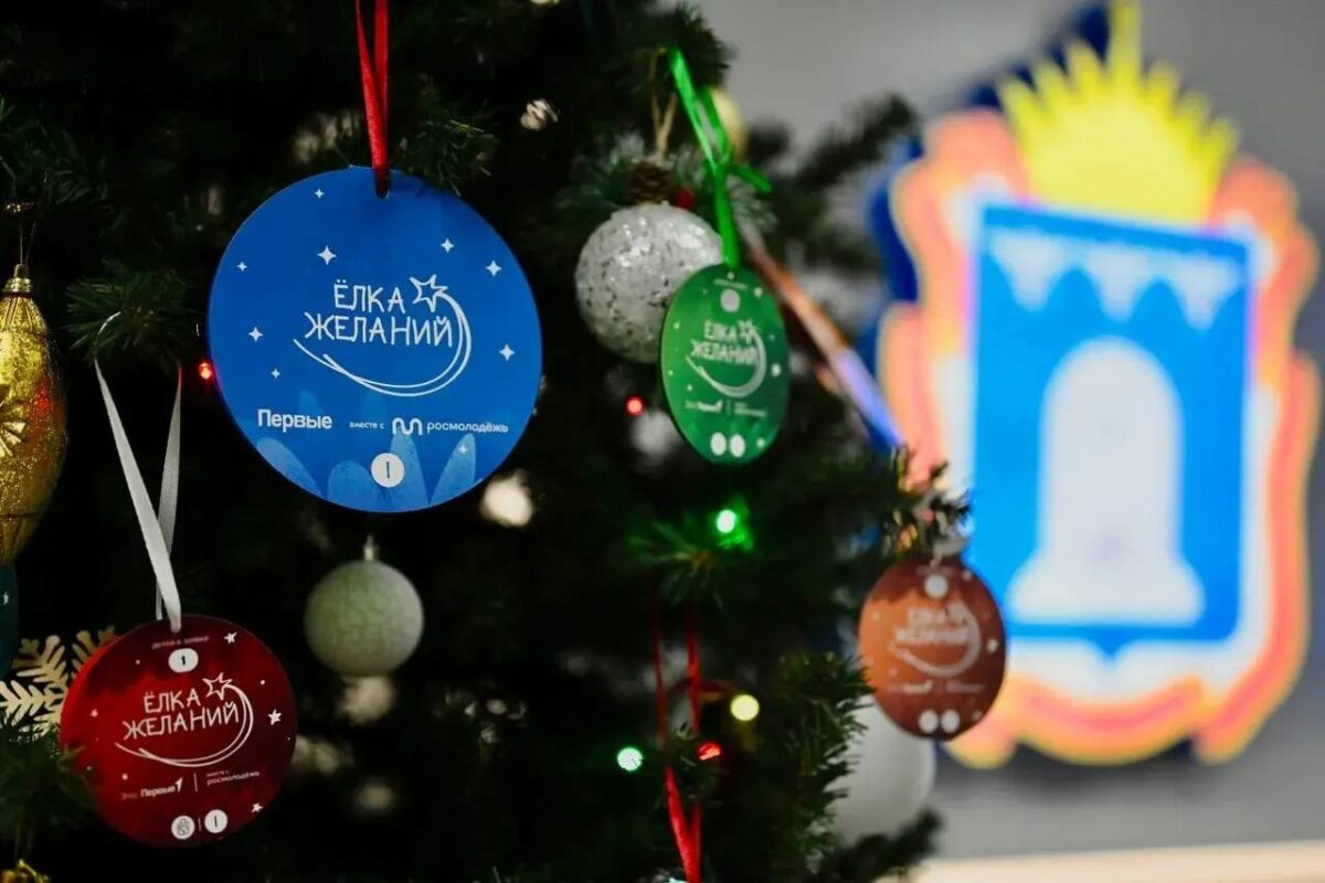 Ёлка желаний, фото из ТГ-канала Максима Косенкова