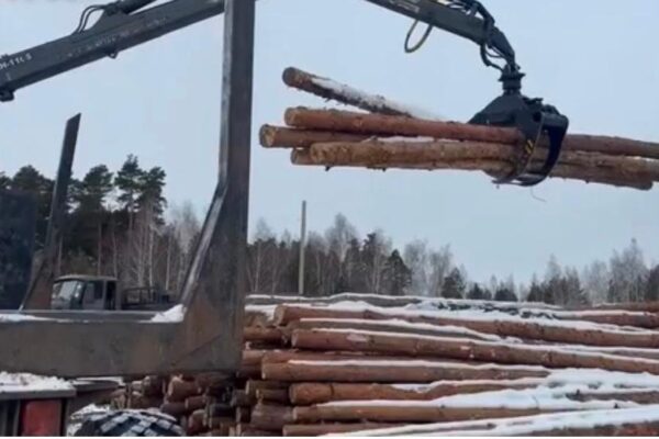Лесхозы Тамбовской области отправили в зону СВО 5 тысяч кубометров лесопродукции
