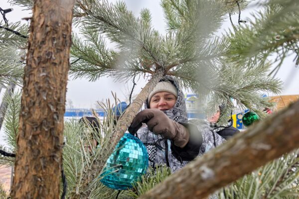 Новогоднюю ель в сквере Майского установили и украсили за счет краудфандинга