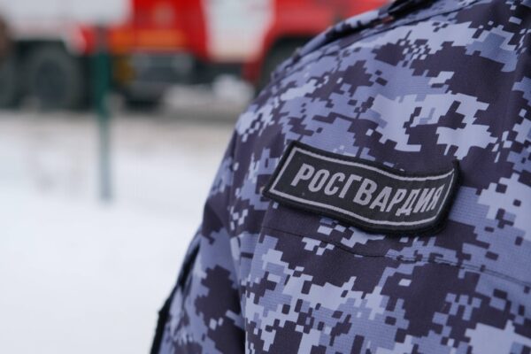 Росгвардейцы за неделю пресекли более 15 правонарушений в Тамбовской области