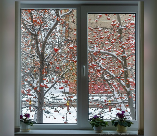 Снег за окном, фото Юрия Путилина