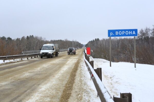 В Тамбовской области открыли для движения мост через реку Ворона