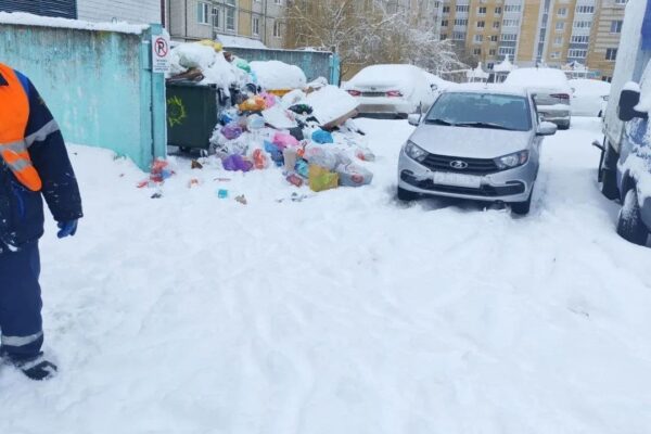 Тамбовский регоператор объяснил сложности вывоза мусора погодными условиями