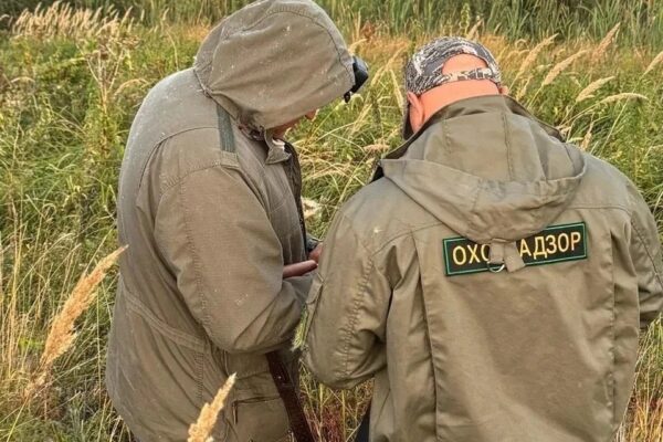 Во втором квартале 2026 года охотничий билет получили 43 тамбовчанина