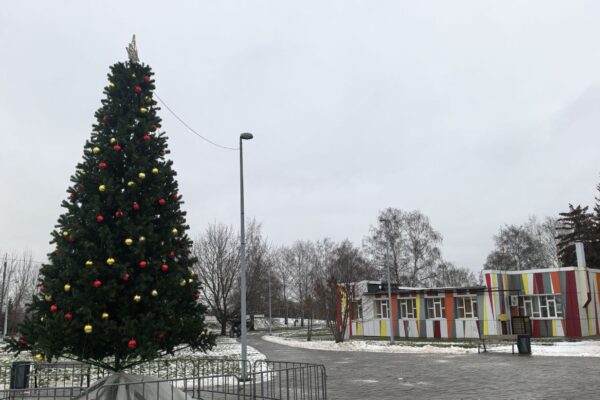 Новогодняя ёлка из Тамбова поборется за звание лучшей в России