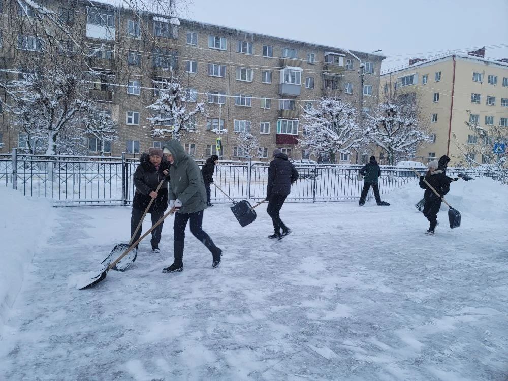 «Снежный десант» в Тамбове расчистил от снега пришкольные территории