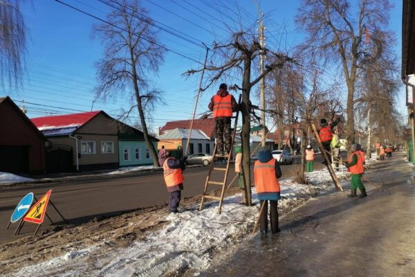 Косенков поручил обрезать деревья в Тамбове только в случае угрозы безопасности